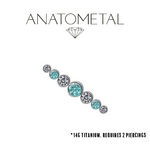 Anatometal Anatometal 14g Titanium 7-Gem Cluster Double Threaded End
