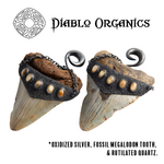 Diablo Organics Diablo Organics Large Megalodon Teeth