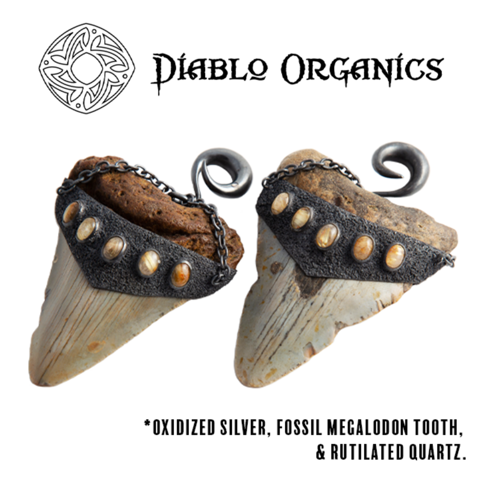 Diablo Organics Diablo Organics Large Megalodon teeth with rutilated quartz on classic coils