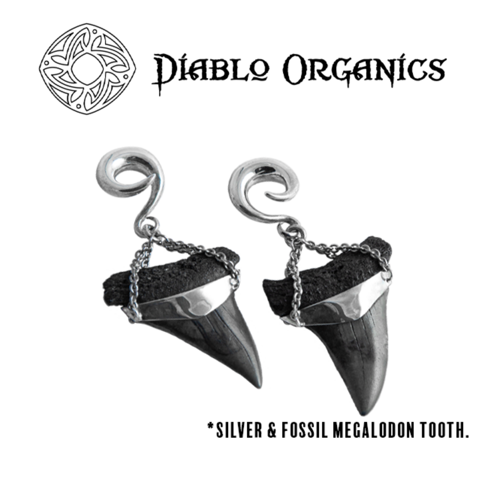 Diablo Organics Diablo Organics Small Megalodon teeth on classic coil