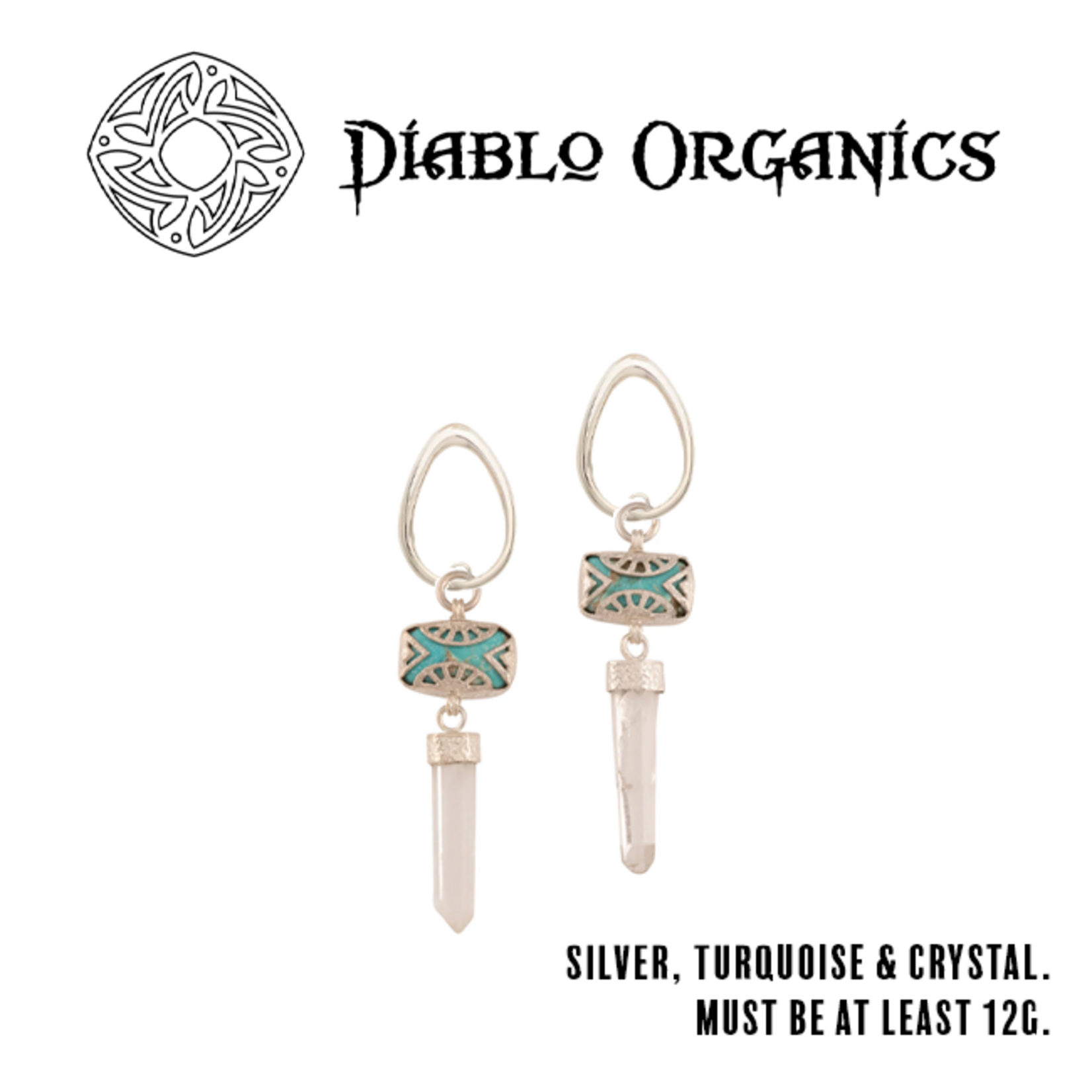 Diablo Organics Diablo Organics Hanging Design with turquoise and crystal point on teardrop coil