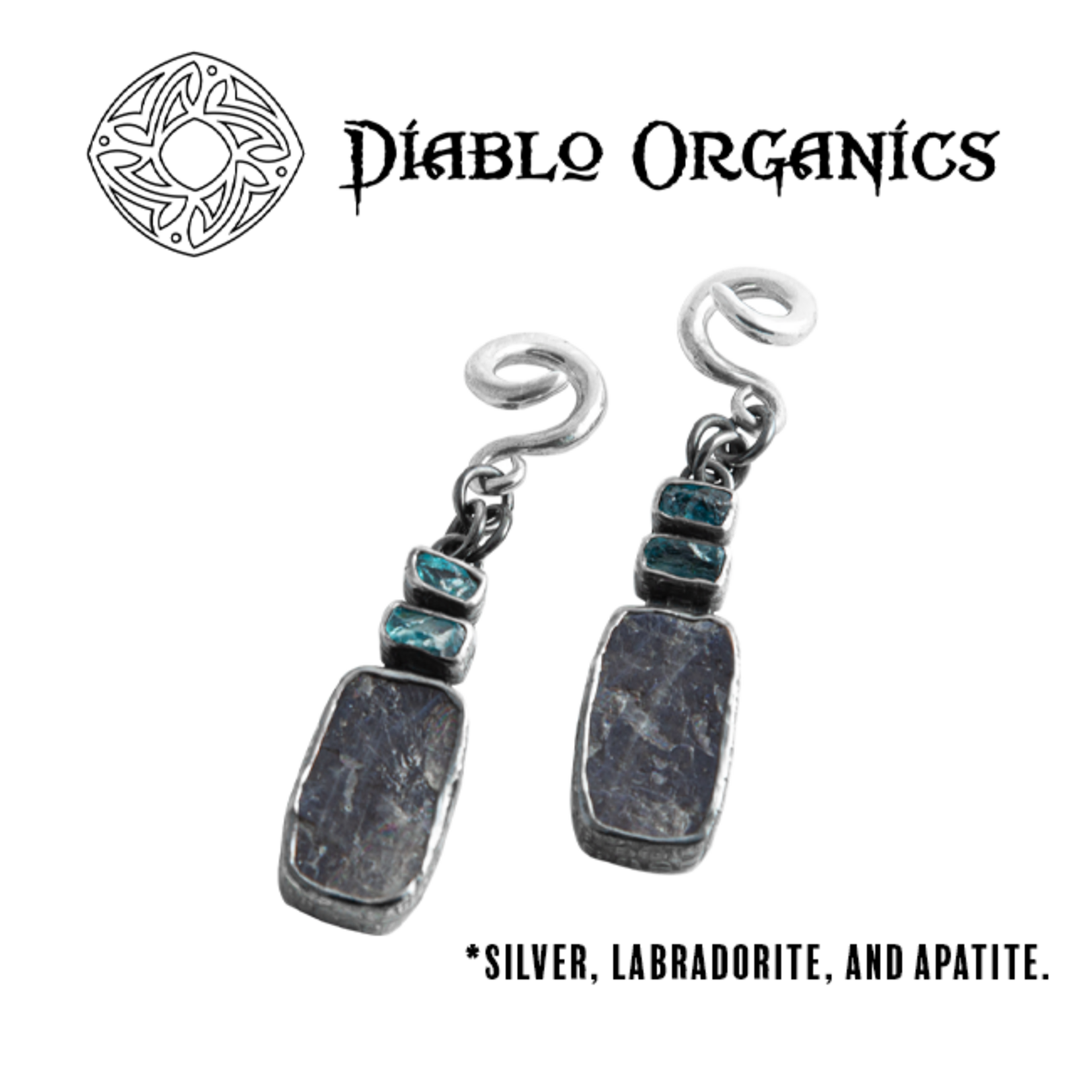 Diablo Organics Diablo Organics hanging design with labradorite and apatite on classic coil