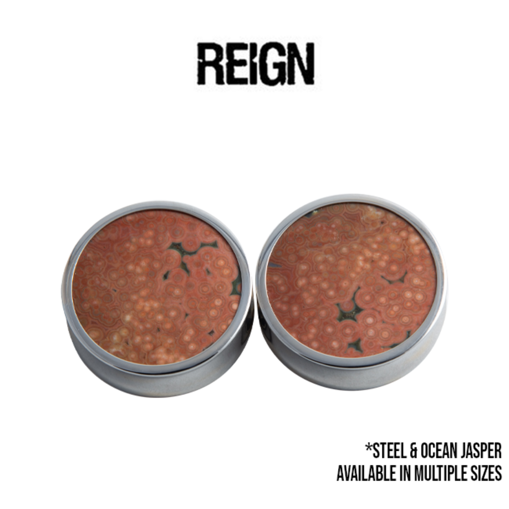 Reign Custom Design Reign Custom Design double flared steel plugs with ocean jasper cabochons
