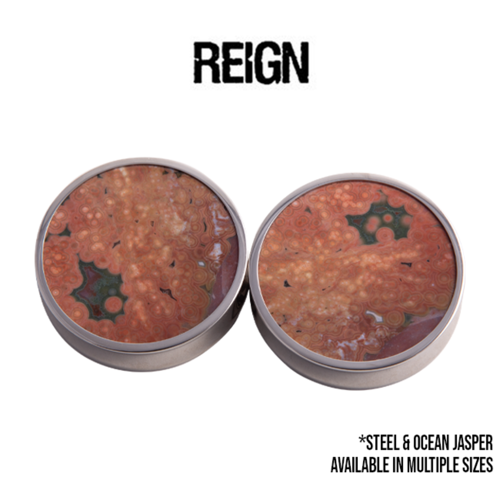 Reign Custom Design Reign Custom Design double flared steel plugs with ocean jasper cabochons