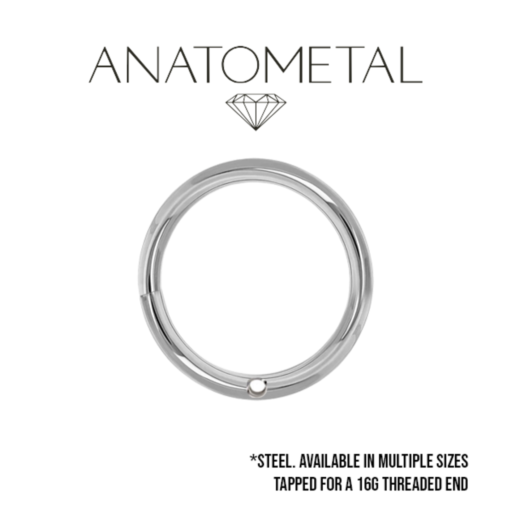 Anatometal Anatometal 14g steel drilled seam ring