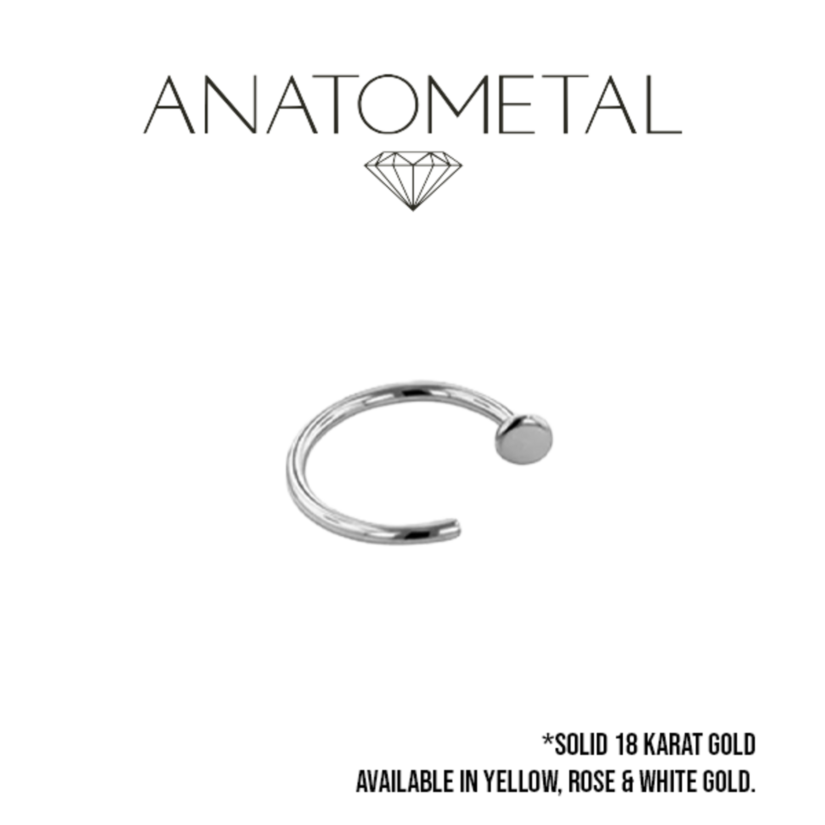 Anatometal Anatometal 20g Nostril Nail with 2.0mm Disk