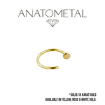 Anatometal Anatometal 20g Nostril Nail with 2.0mm Disk