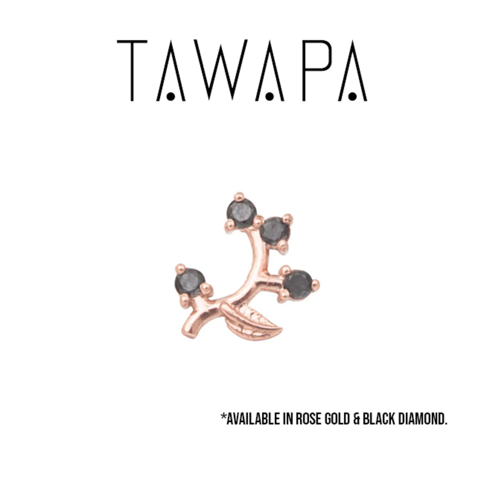 Tawapa Tawapa 8.0x6.0mm "Frond" press-fit end with 4x 1.5 black diamonds