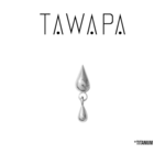Tawapa Tawapa Titanium "Storm" Press-Fit End