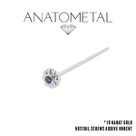 Anatometal Anatometal 20g "Ipsa" Nostril Screw