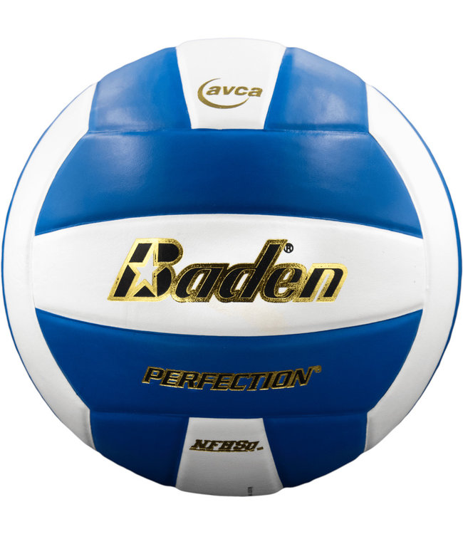 Perfection Championship Leather - Volleyball Town