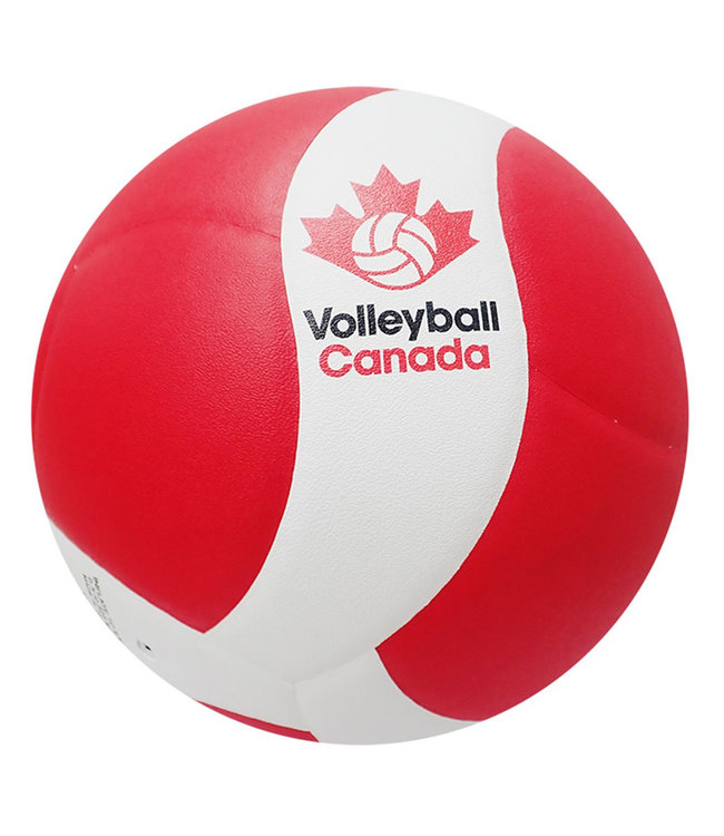 Mikasa VQ200W-CAN Competition Volleyball