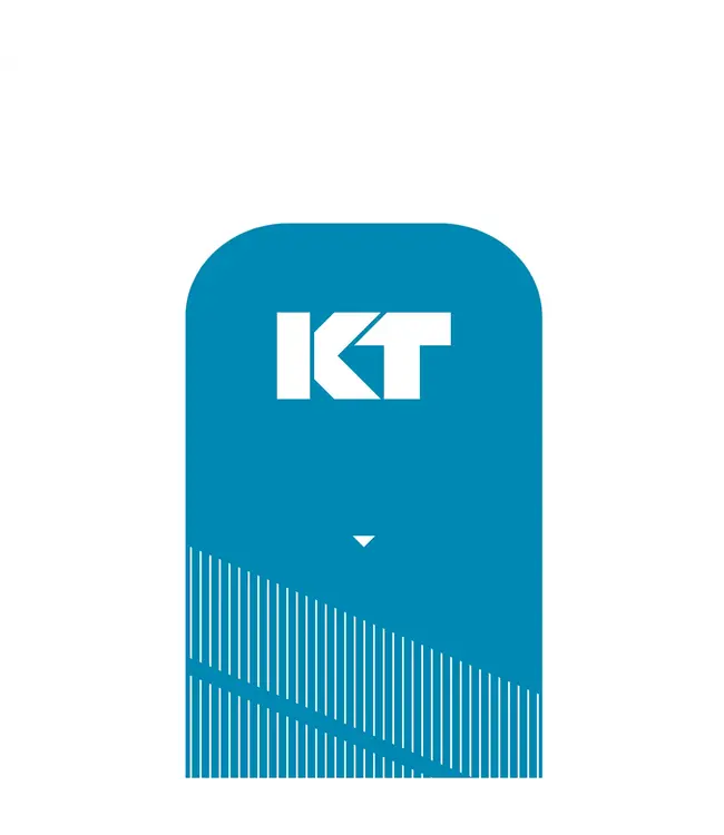 KT Tape PRO 20 Precut 25cm Strips