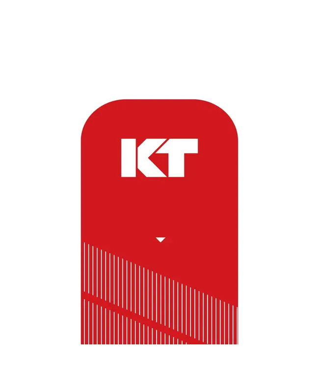 KT Tape PRO 20 Precut 25cm Strips