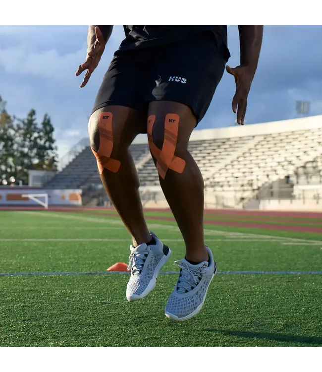 Ruban 20 Bandes 25cm Pré-Coupées