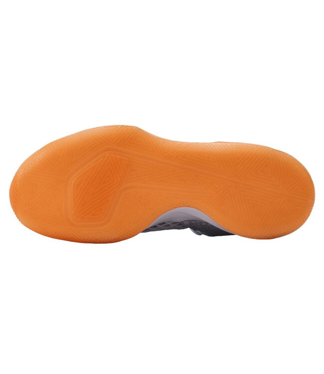 Zoom Hyperspeed Court Special Edition Unisex Shoes