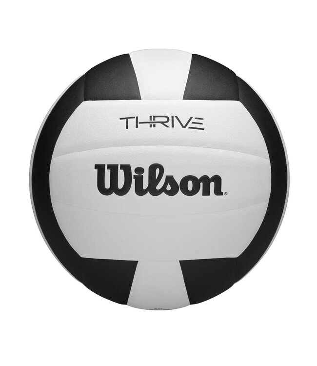 Ballon de Volley Intérieur Thrive