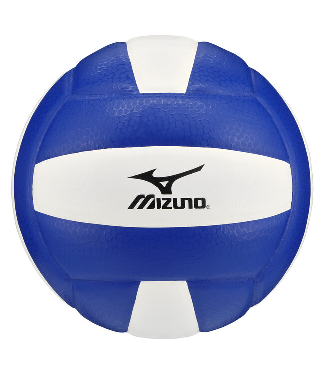 Ballon de Volleyball MZ5