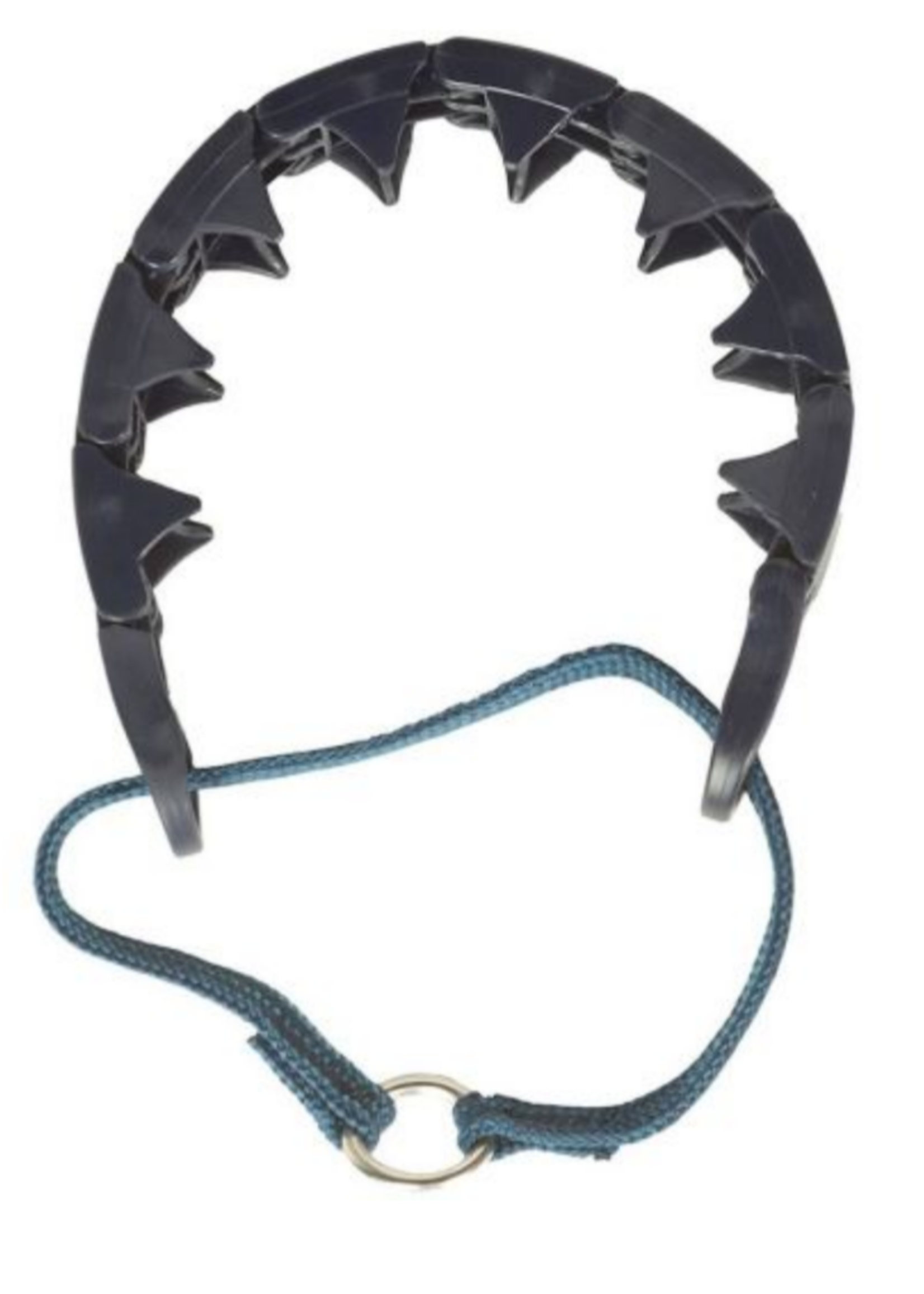 pro training collar