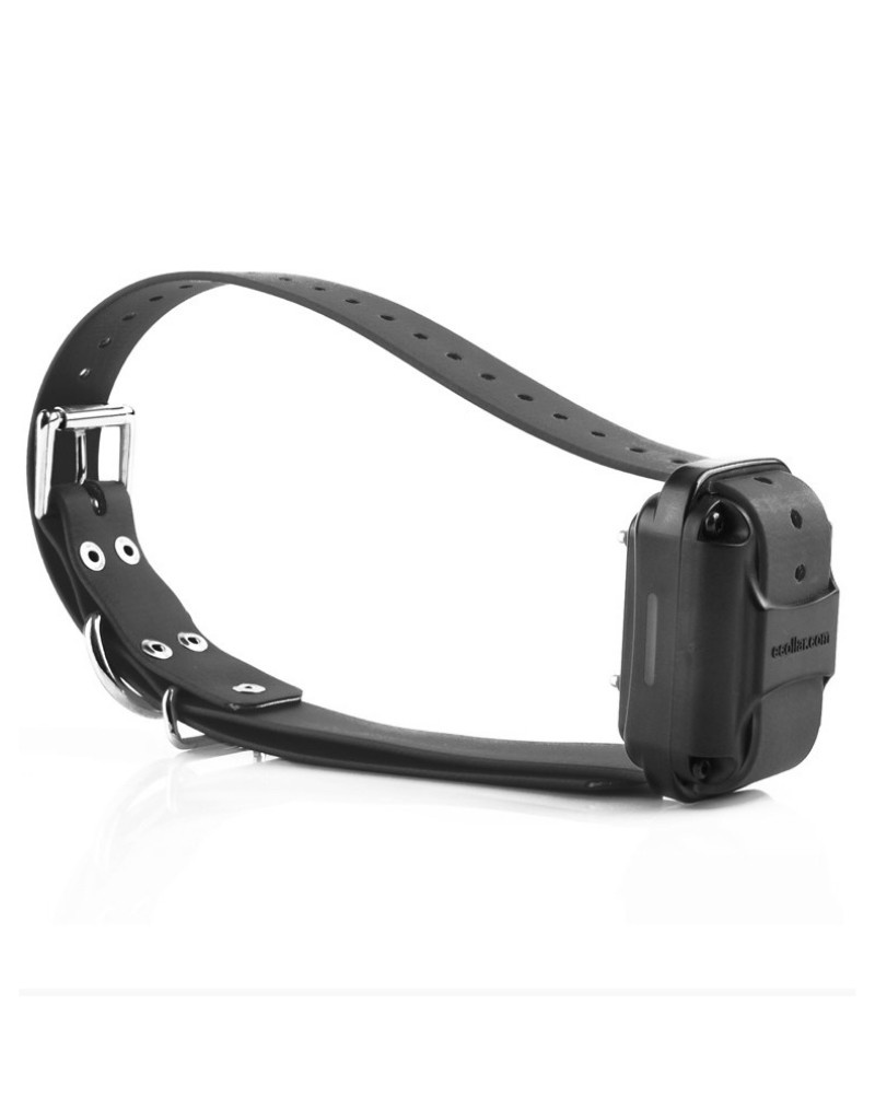 Large Receiver Rx120 Unleashed Potential K9