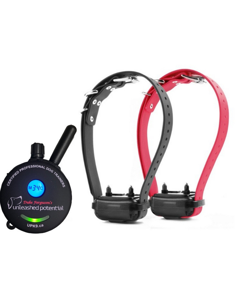 ET802 Remote Training Collar Unleashed Potential K9