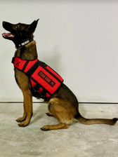 https://cdn.shoplightspeed.com/shops/632378/files/34983392/168x224x1/xdog-v3-xdog-weight-vest-for-dogs-red.jpg