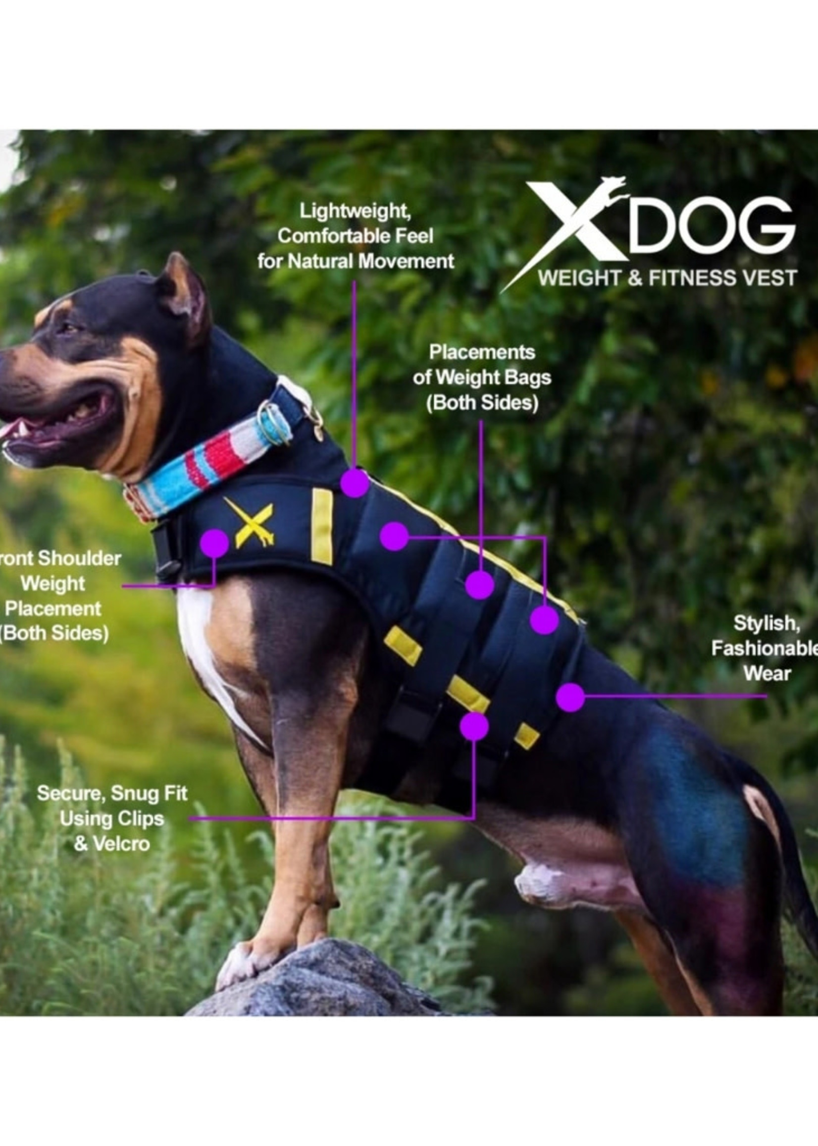 XDOG™ V3 XDOG Weight Vest for Dogs- Teal