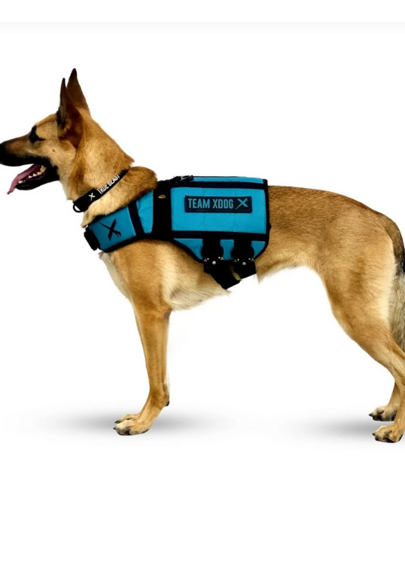 XDOG™ V3 XDOG Weight Vest for Dogs- Teal