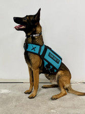 V3 XDOG Weight Vest for Dogs- Teal - Unleashed Potential K9