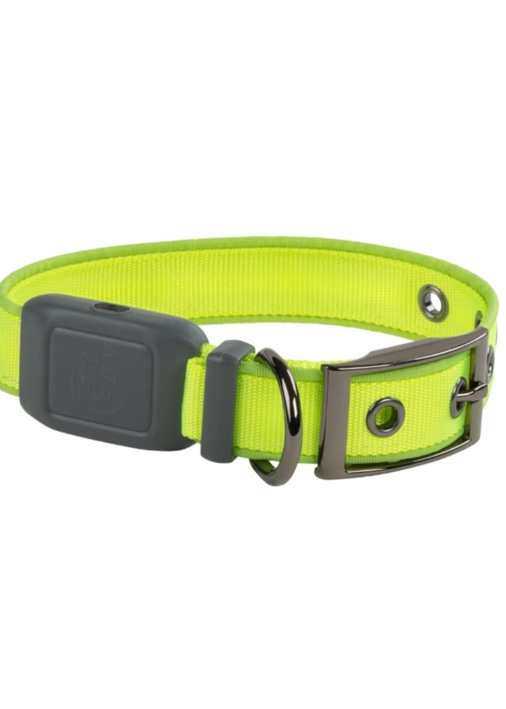 Nite Ize NITE IZE NiteDog Rechargeable LED Collar