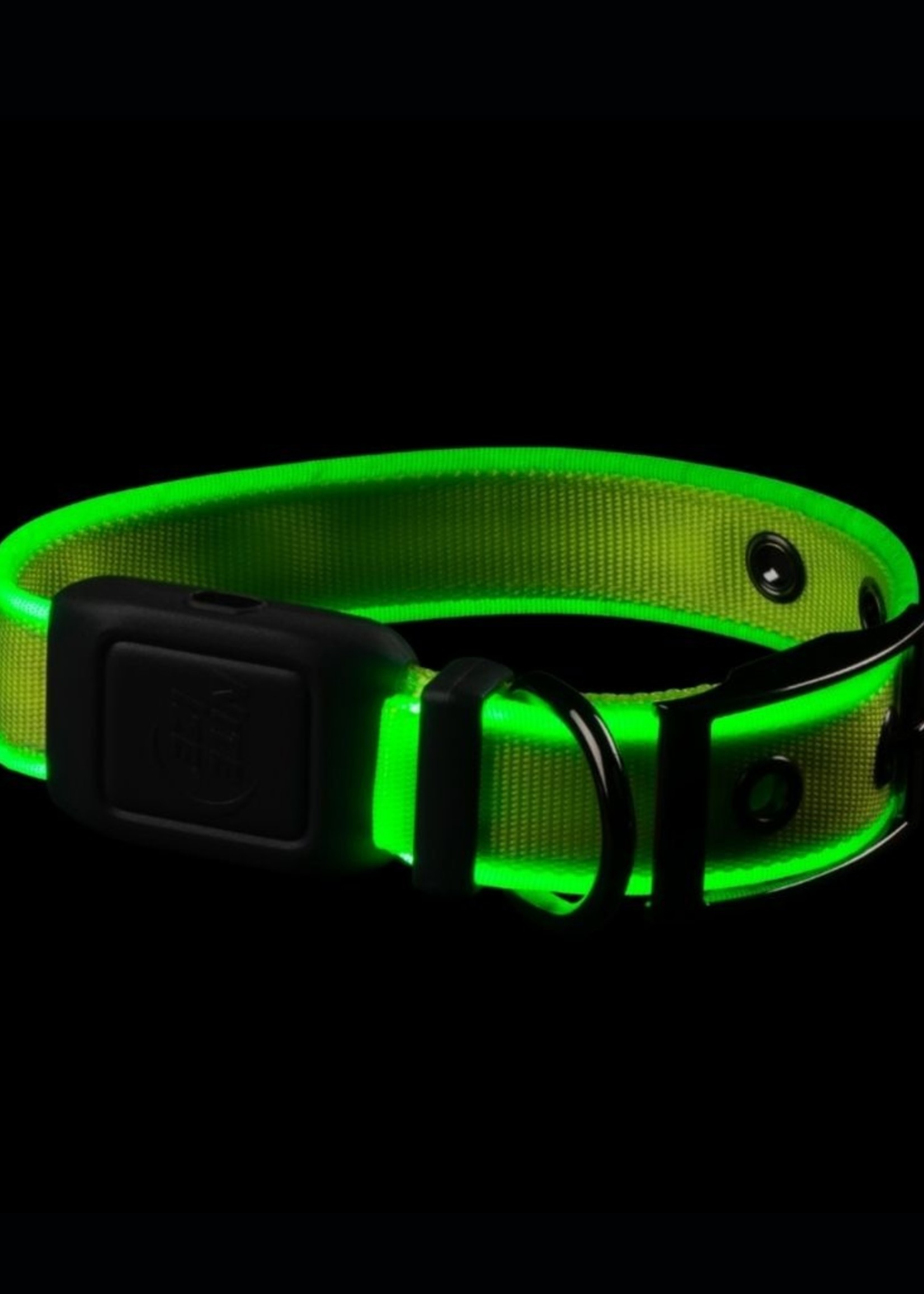 Nite Ize NITE IZE NiteDog Rechargeable LED Collar