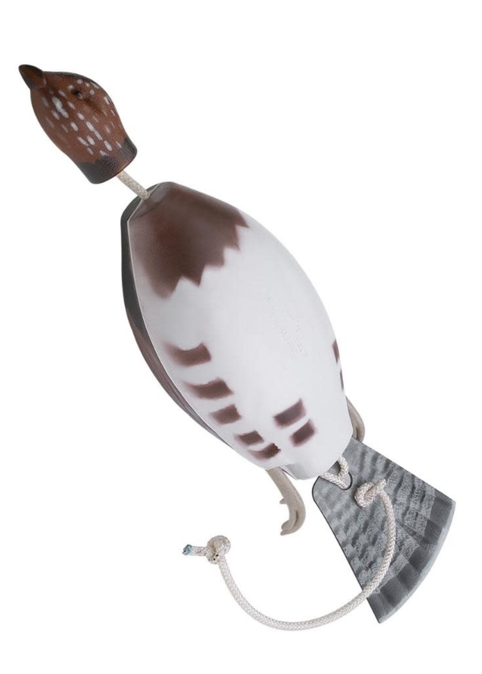 Dokken Dokken Ruffed Grouse Trainer