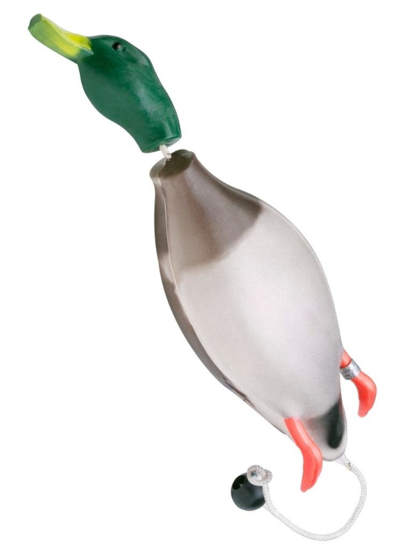 Dokken Dokken Mallard Trainer