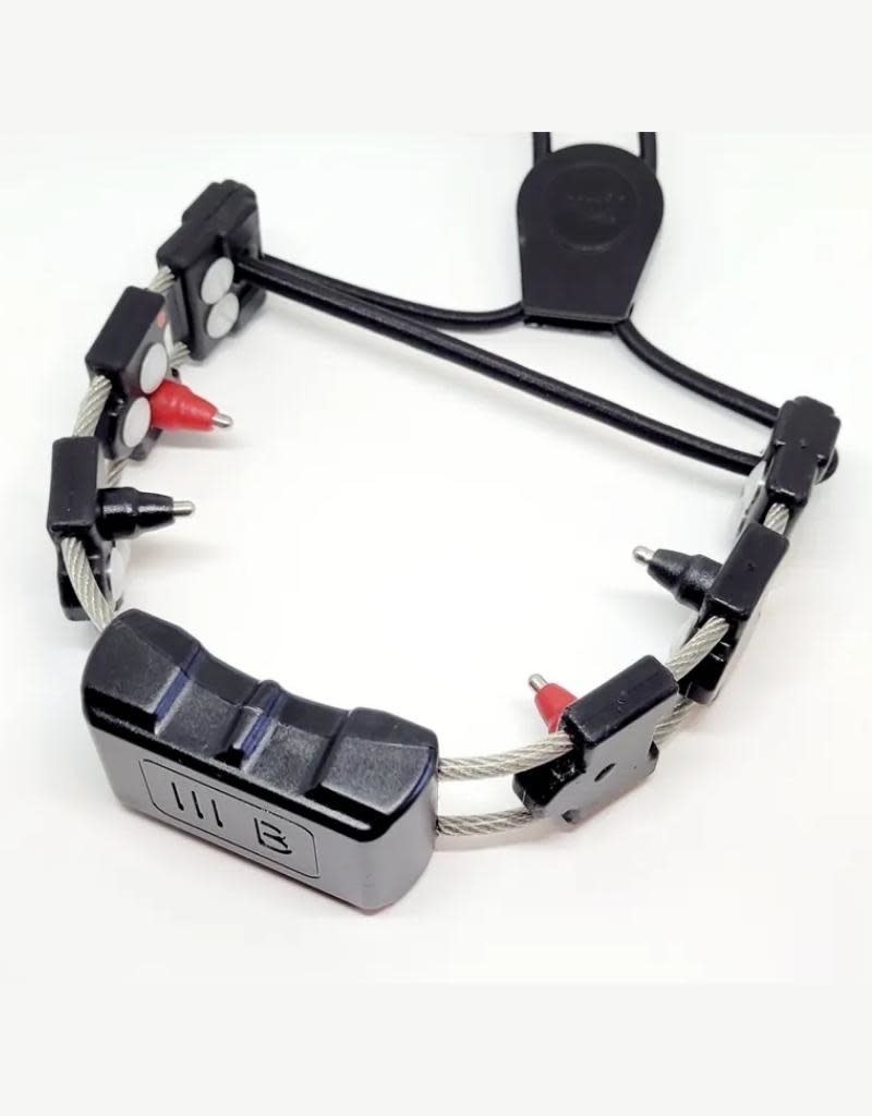 Chameleon e collar deals