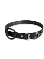 E-Collar Technologies Bungee Collar Straps