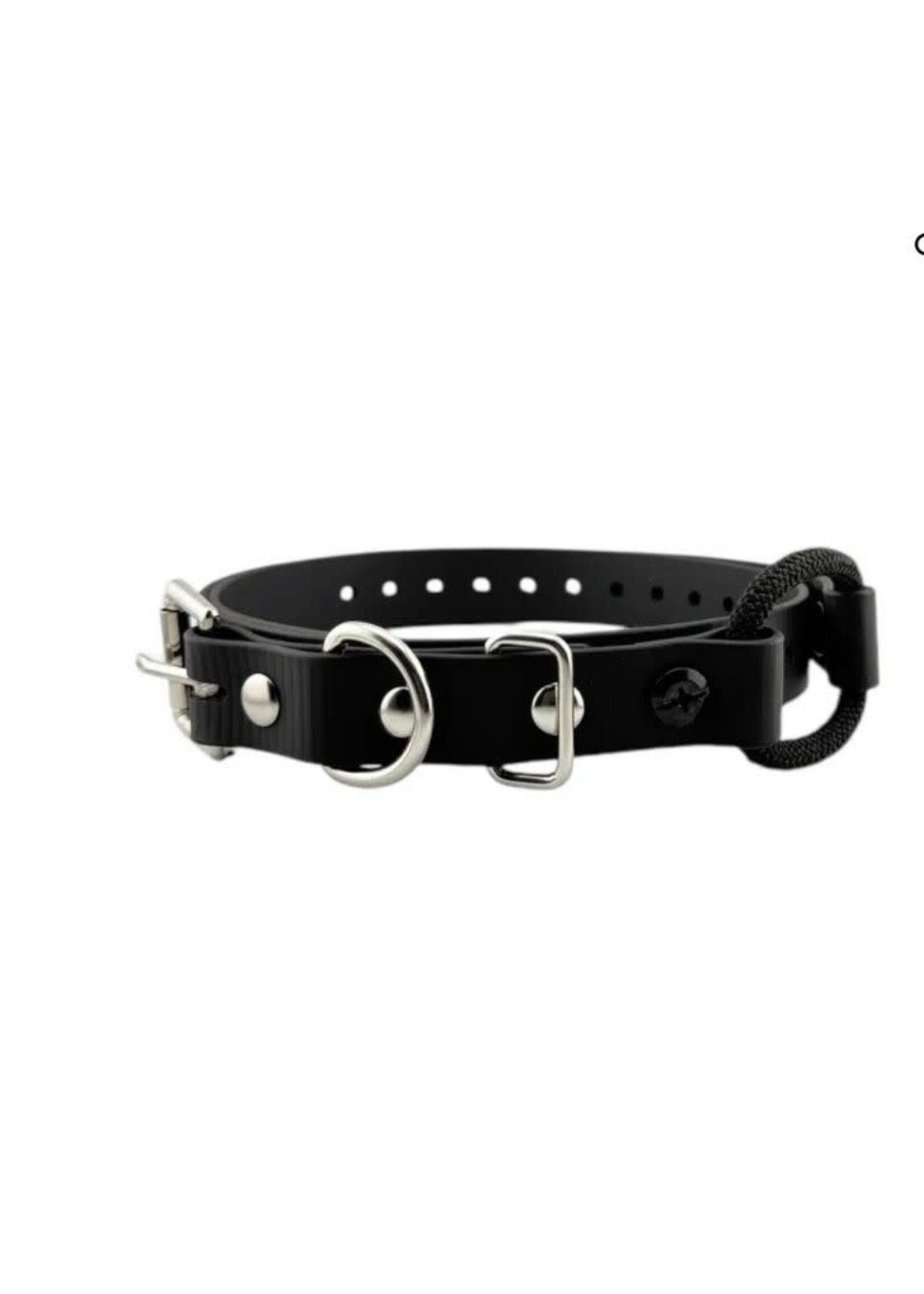 E-Collar Technologies Bungee Collar Straps
