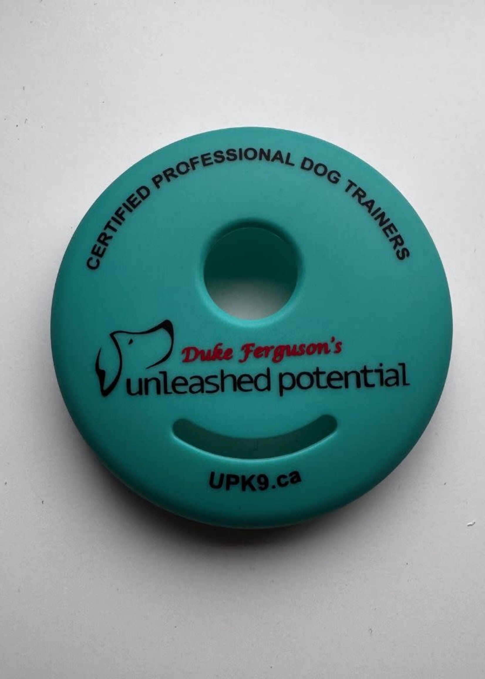 E-Collar Technologies Teal Skin for ET300/302 Remotes - Front