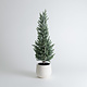 22" Potted Pine Tree