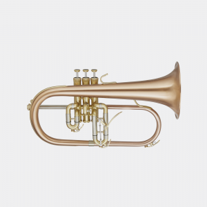 Blessing Blessing BFH-1541RT Artist Series Flugelhorn
