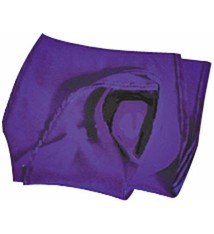 Gem Gem Flute Swab (Silk)