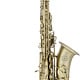 Chateau Chambord by Chateau 50 Series Alto Saxophone