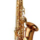 Yanagisawa Yanagisawa AW02 Professional Alto Saxophone