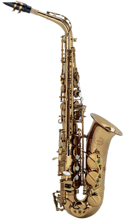 Chateau Chenonceau by Chateau 80 Series Alto Saxophone