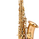 Chateau Chenonceau by Chateau 80 Series Alto Saxophone