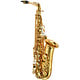 P. Mauriat P. Mauriat PMSA-185 Alto Saxophone