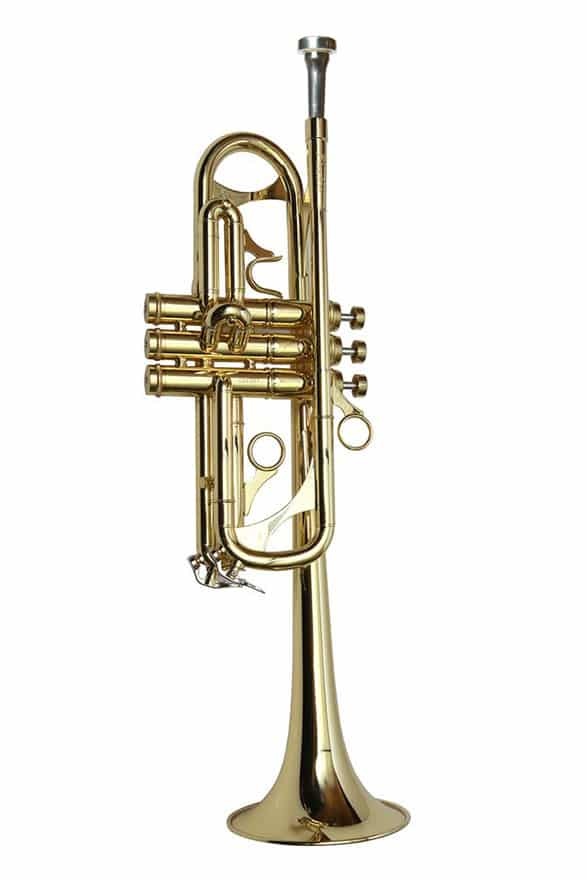 Phaeton trumpet top