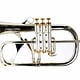 Phaeton Phaeton Custom Flugelhorn