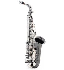 P. Mauriat P. Mauriat PMSA-500BXSK Alto Saxophone
