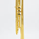 Franz Straub Used Franz Straub GD 460 Bb Trumpet - 8XX