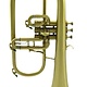 Selmer Used Selmer Concept Brushed Finish Flugelhorn - 891XX
